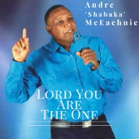 Image of Andre_Lord You Are the One