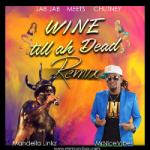 Image of Wine Till I Dead